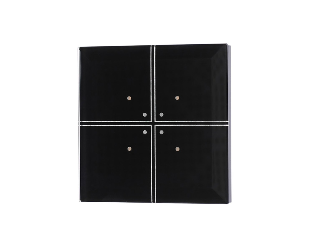 Пульт дистанционного управления FW-GS4-24B